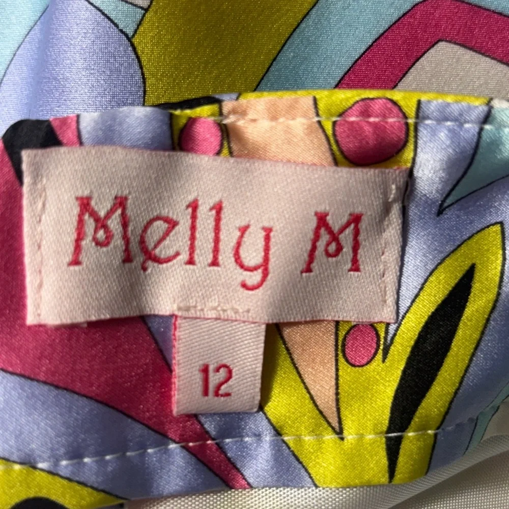Melly M 100% Silk Mod Paisley Mini Skirt Colorful Retro Print Size 12 - Picture 6 of 8